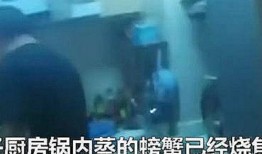 浙江爆料事件视频完整版