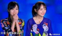 鲜厨驾到在线观看,一场味蕾与视觉的盛宴之旅